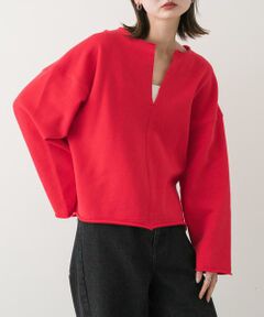 SENSE OF PLACE by URBAN RESEARCH / センスオブプレイス バイ アーバンリサーチ スウェット | Vネックルーズスウェット