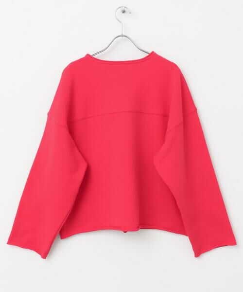 SENSE OF PLACE by URBAN RESEARCH / センスオブプレイス バイ アーバンリサーチ スウェット | Vネックルーズスウェット | 詳細9