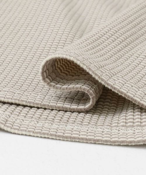 SENSE OF PLACE by URBAN RESEARCH / センスオブプレイス バイ アーバンリサーチ Tシャツ | 『WEB限定』クルーネックリンガーボーダーTシャツ | 詳細21