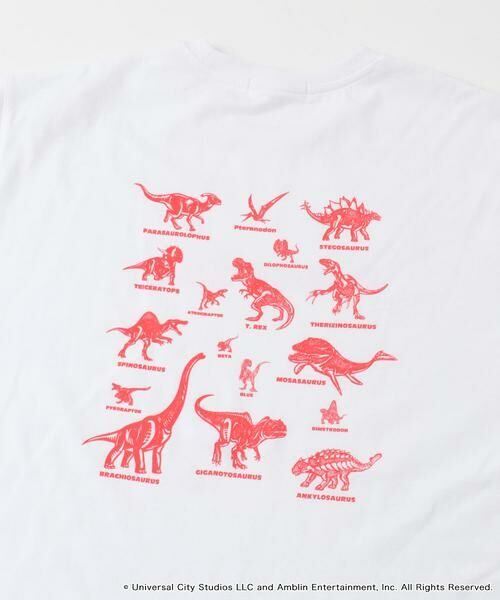 SENSE OF PLACE by URBAN RESEARCH / センスオブプレイス バイ アーバンリサーチ Tシャツ | 『別注』Jurassic World×SENSE OF PLACE　T-SHIRTS/A | 詳細21