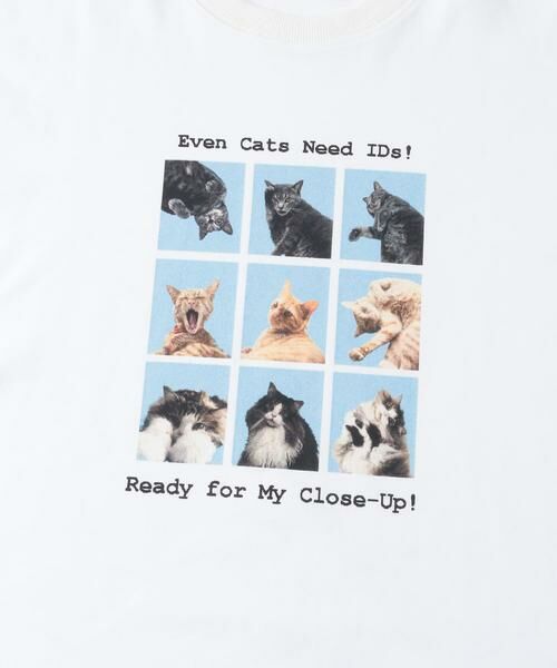 SENSE OF PLACE by URBAN RESEARCH / センスオブプレイス バイ アーバンリサーチ Tシャツ | 『ユニセックス』Cat graphic Short-Sleeve T-shirts | 詳細26