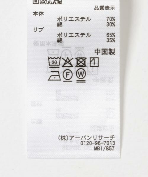 SENSE OF PLACE by URBAN RESEARCH / センスオブプレイス バイ アーバンリサーチ Tシャツ | ヘンリーネックカノコプルオーバー | 詳細29