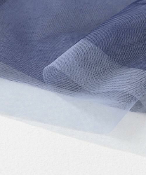 SENSE OF PLACE by URBAN RESEARCH / センスオブプレイス バイ アーバンリサーチ シャツ・ブラウス | シアーチュールフリルトップ | 詳細11