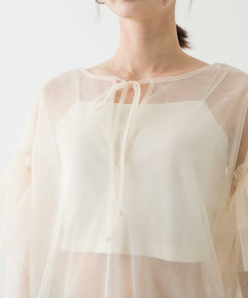 SENSE OF PLACE by URBAN RESEARCH / センスオブプレイス バイ アーバンリサーチ シャツ・ブラウス | シアーチュールフリルトップ | 詳細24
