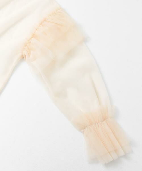 SENSE OF PLACE by URBAN RESEARCH / センスオブプレイス バイ アーバンリサーチ シャツ・ブラウス | シアーチュールフリルトップ | 詳細28