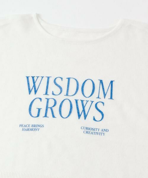 SENSE OF PLACE by URBAN RESEARCH / センスオブプレイス バイ アーバンリサーチ ニット・セーター | グラフィッククロップドセーター | 詳細17