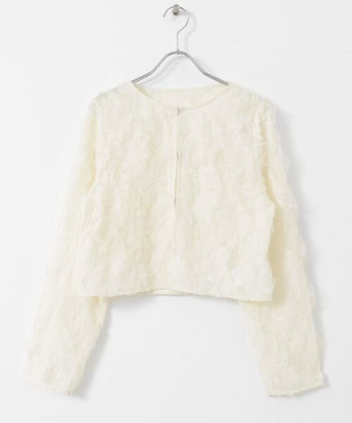 SENSE OF PLACE by URBAN RESEARCH / センスオブプレイス バイ アーバンリサーチ シャツ・ブラウス | クロップドチュールジャガードブラウス | 詳細7