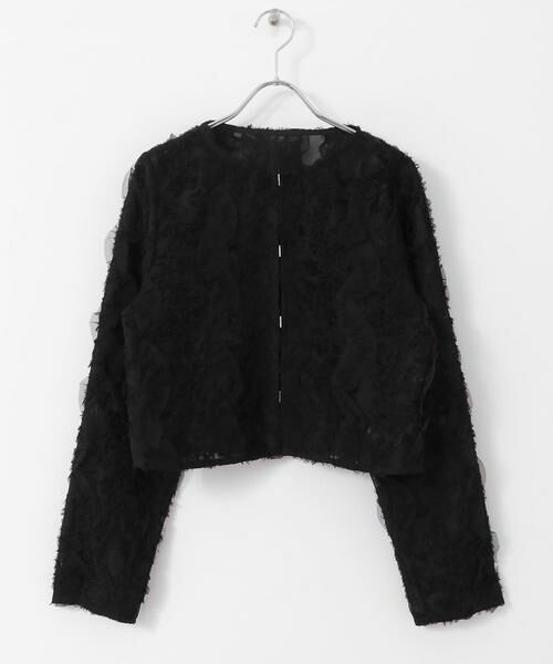 SENSE OF PLACE by URBAN RESEARCH / センスオブプレイス バイ アーバンリサーチ シャツ・ブラウス | クロップドチュールジャガードブラウス | 詳細14