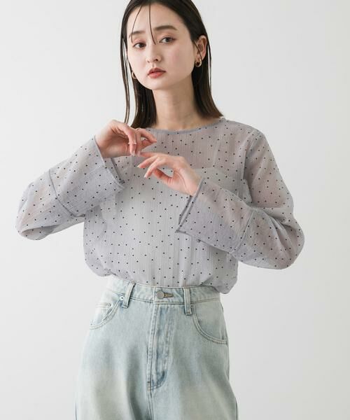 SENSE OF PLACE by URBAN RESEARCH / センスオブプレイス バイ アーバンリサーチ Tシャツ | フロッキードットシアーブラウス | 詳細1