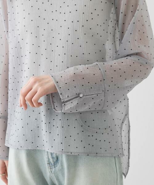 SENSE OF PLACE by URBAN RESEARCH / センスオブプレイス バイ アーバンリサーチ Tシャツ | フロッキードットシアーブラウス | 詳細10