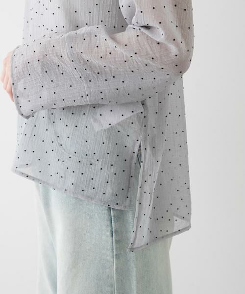 SENSE OF PLACE by URBAN RESEARCH / センスオブプレイス バイ アーバンリサーチ Tシャツ | フロッキードットシアーブラウス | 詳細11