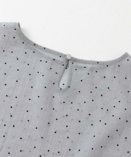 SENSE OF PLACE by URBAN RESEARCH / センスオブプレイス バイ アーバンリサーチ Tシャツ | フロッキードットシアーブラウス | 詳細15