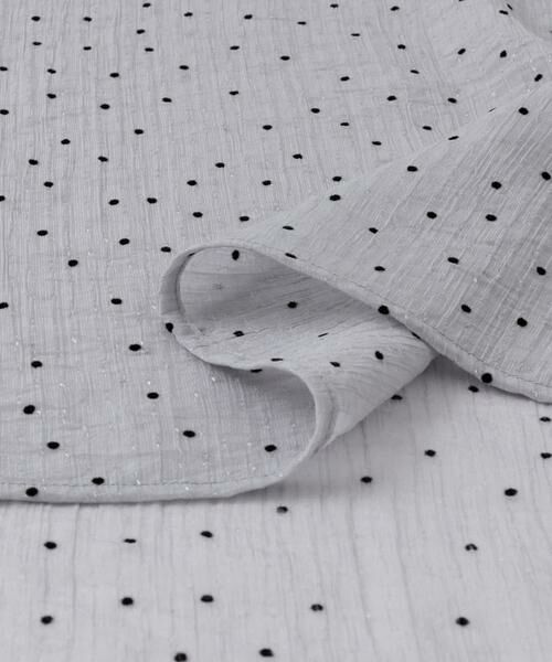 SENSE OF PLACE by URBAN RESEARCH / センスオブプレイス バイ アーバンリサーチ Tシャツ | フロッキードットシアーブラウス | 詳細16