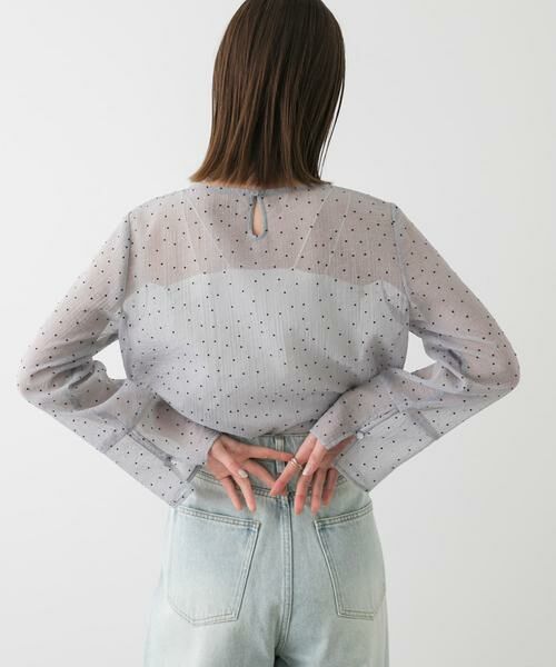 SENSE OF PLACE by URBAN RESEARCH / センスオブプレイス バイ アーバンリサーチ Tシャツ | フロッキードットシアーブラウス | 詳細3