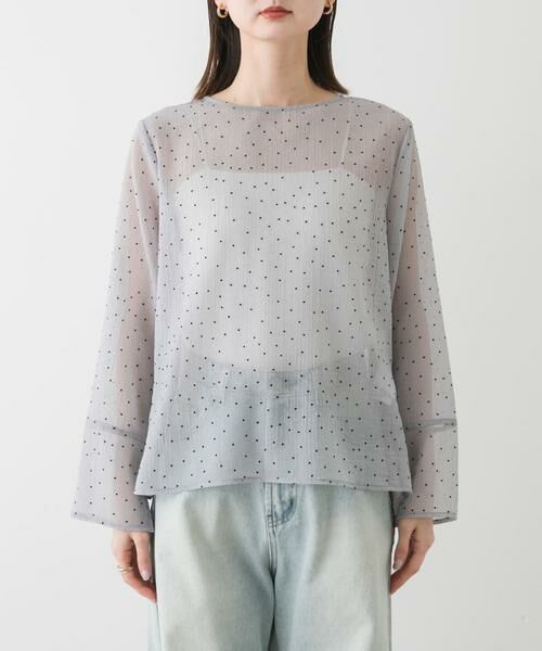 SENSE OF PLACE by URBAN RESEARCH / センスオブプレイス バイ アーバンリサーチ Tシャツ | フロッキードットシアーブラウス | 詳細7