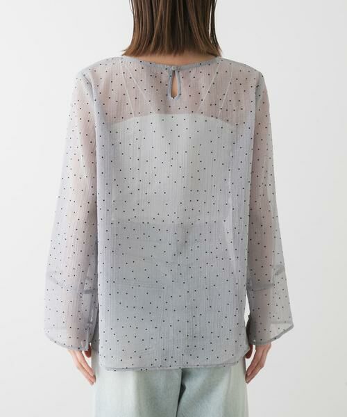 SENSE OF PLACE by URBAN RESEARCH / センスオブプレイス バイ アーバンリサーチ Tシャツ | フロッキードットシアーブラウス | 詳細9