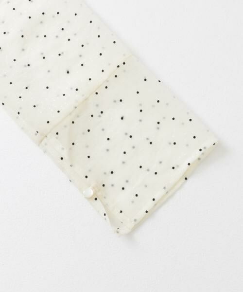 SENSE OF PLACE by URBAN RESEARCH / センスオブプレイス バイ アーバンリサーチ Tシャツ | フロッキードットシアーブラウス | 詳細27