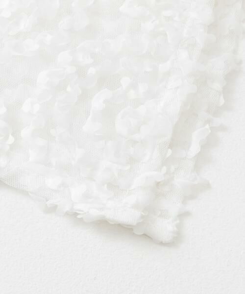 SENSE OF PLACE by URBAN RESEARCH / センスオブプレイス バイ アーバンリサーチ スカート | チュールレースラップスカート | 詳細8