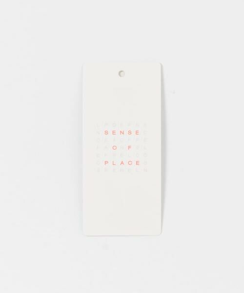 SENSE OF PLACE by URBAN RESEARCH / センスオブプレイス バイ アーバンリサーチ シャツ・ブラウス | フロッキードットウエストギャザーブラウス | 詳細14