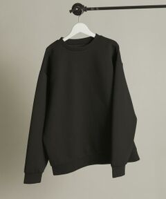 SENSE OF PLACE by URBAN RESEARCH / センスオブプレイス バイ アーバンリサーチ スウェット | ダンボールポンチクルーネックスウェット