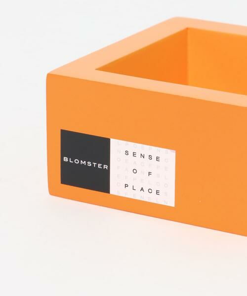 SENSE OF PLACE by URBAN RESEARCH / センスオブプレイス バイ アーバンリサーチ その他雑貨 | BLOMSTER　680-066フレーム | 詳細3
