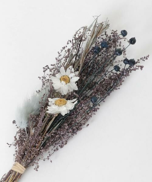 SENSE OF PLACE by URBAN RESEARCH / センスオブプレイス バイ アーバンリサーチ ルームフレグランス・インセンス・アロマ | BLOMSTER　DryFragrance | 詳細2