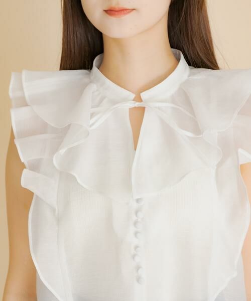 SENSE OF PLACE by URBAN RESEARCH / センスオブプレイス バイ アーバンリサーチ シャツ・ブラウス | シアーラッフルブラウス | 詳細10