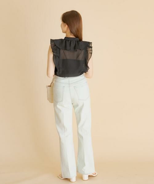 SENSE OF PLACE by URBAN RESEARCH / センスオブプレイス バイ アーバンリサーチ シャツ・ブラウス | シアーラッフルブラウス | 詳細19