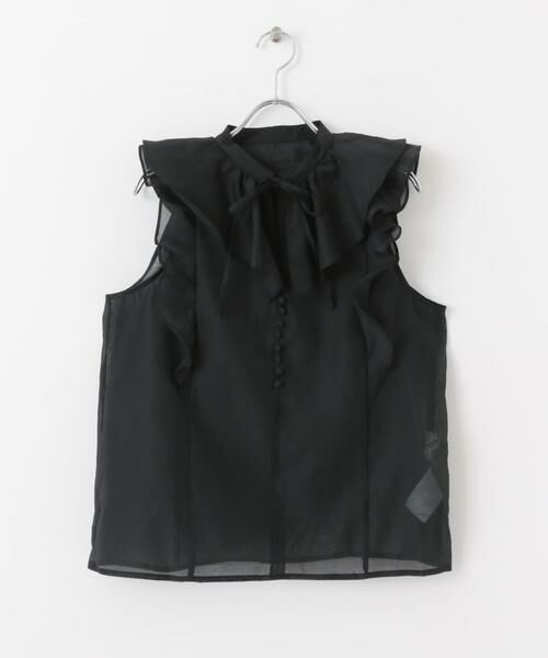 SENSE OF PLACE by URBAN RESEARCH / センスオブプレイス バイ アーバンリサーチ シャツ・ブラウス | シアーラッフルブラウス | 詳細20