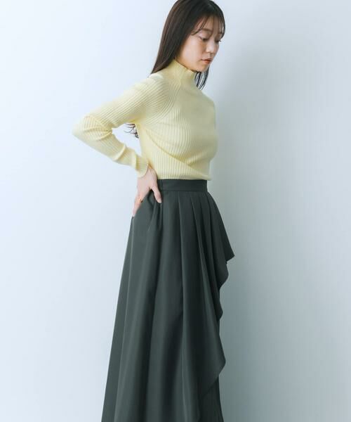 SENSE OF PLACE by URBAN RESEARCH / センスオブプレイス バイ アーバンリサーチ スカート | シアープリーツレイヤードスカート | 詳細30