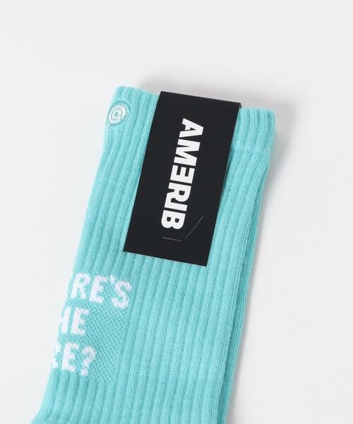 SENSE OF PLACE by URBAN RESEARCH / センスオブプレイス バイ アーバンリサーチ ソックス | AMERIB　AMERIB LOGOSOX | 詳細8