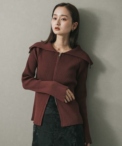 SENSE OF PLACE by URBAN RESEARCH / センスオブプレイス バイ アーバンリサーチ ニット・セーター | ビックカラージップセーター | 詳細1