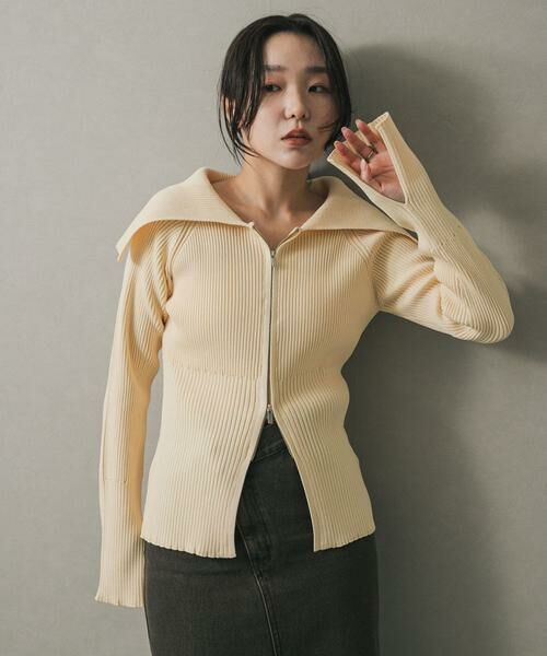 SENSE OF PLACE by URBAN RESEARCH / センスオブプレイス バイ アーバンリサーチ ニット・セーター | ビックカラージップセーター | 詳細18