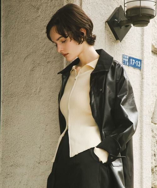 SENSE OF PLACE by URBAN RESEARCH / センスオブプレイス バイ アーバンリサーチ ニット・セーター | ビックカラージップセーター | 詳細23