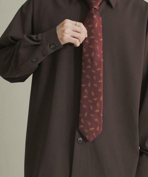 SENSE OF PLACE by URBAN RESEARCH / センスオブプレイス バイ アーバンリサーチ ネクタイ | アソートネクタイ | 詳細2