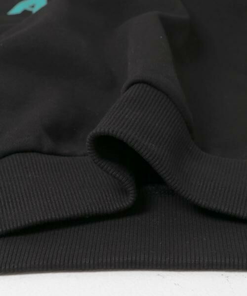 SENSE OF PLACE by URBAN RESEARCH / センスオブプレイス バイ アーバンリサーチ スウェット | アソートグラフィックロゴスウェット | 詳細29