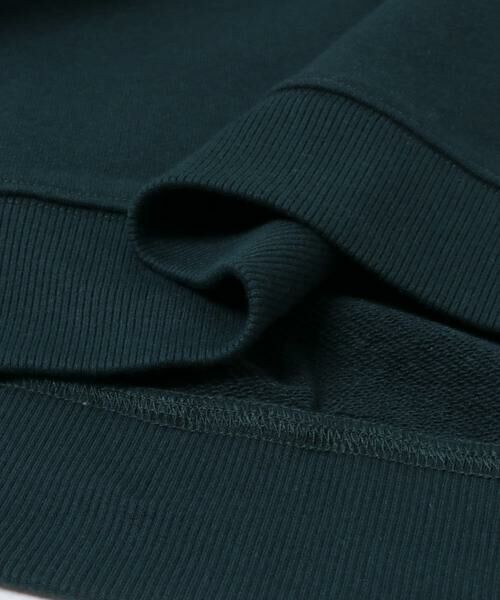 SENSE OF PLACE by URBAN RESEARCH / センスオブプレイス バイ アーバンリサーチ スウェット | 『一部WEB限定カラー』ハーフジップロングスリーブスウェット | 詳細14