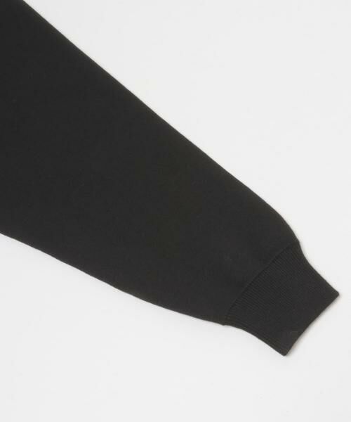 SENSE OF PLACE by URBAN RESEARCH / センスオブプレイス バイ アーバンリサーチ ニット・セーター | スウェットライクカレッジロゴニット | 詳細29