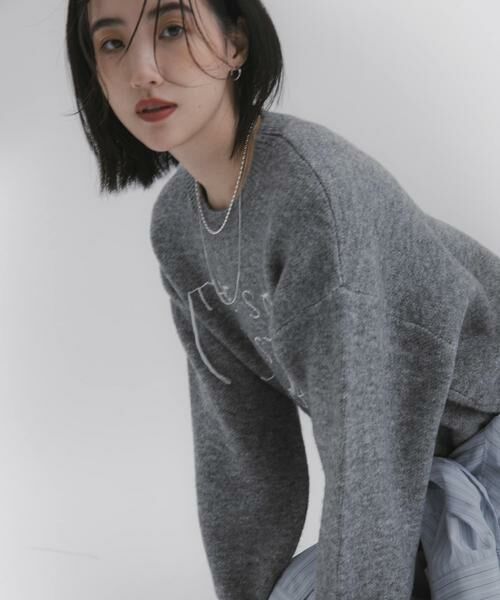 SENSE OF PLACE by URBAN RESEARCH / センスオブプレイス バイ アーバンリサーチ ニット・セーター | ロゴシシュウバイカラーリブニット | 詳細9