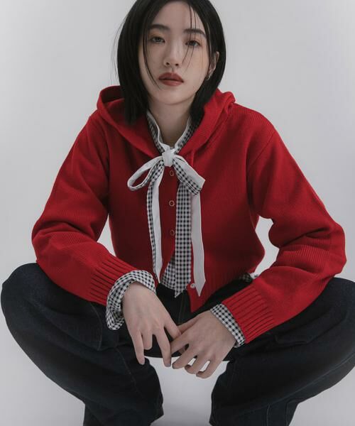 SENSE OF PLACE by URBAN RESEARCH / センスオブプレイス バイ アーバンリサーチ ニット・セーター | コンパクトフーディセーター | 詳細1