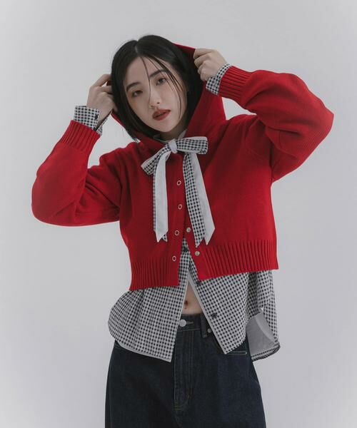 SENSE OF PLACE by URBAN RESEARCH / センスオブプレイス バイ アーバンリサーチ ニット・セーター | コンパクトフーディセーター | 詳細2