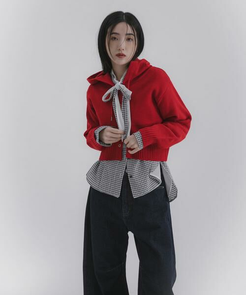 SENSE OF PLACE by URBAN RESEARCH / センスオブプレイス バイ アーバンリサーチ ニット・セーター | コンパクトフーディセーター | 詳細3