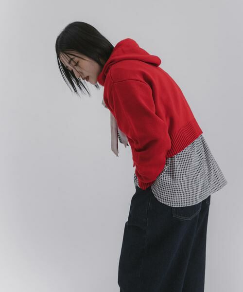 SENSE OF PLACE by URBAN RESEARCH / センスオブプレイス バイ アーバンリサーチ ニット・セーター | コンパクトフーディセーター | 詳細4