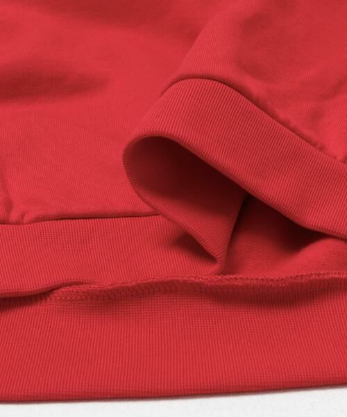 SENSE OF PLACE by URBAN RESEARCH / センスオブプレイス バイ アーバンリサーチ スウェット | Dog graphic crew-neck Sweat | 詳細12