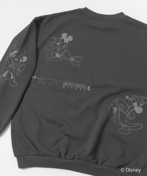 SENSE OF PLACE by URBAN RESEARCH / センスオブプレイス バイ アーバンリサーチ スウェット | 『別注』FANTASIA/クルーネックスウェットA | 詳細25