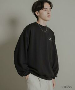 SENSE OF PLACE by URBAN RESEARCH / センスオブプレイス バイ アーバンリサーチ スウェット | 『別注』FANTASIA/クルーネックスウェットB