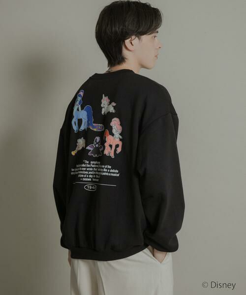 SENSE OF PLACE by URBAN RESEARCH / センスオブプレイス バイ アーバンリサーチ スウェット | 『別注』FANTASIA/クルーネックスウェットB | 詳細19