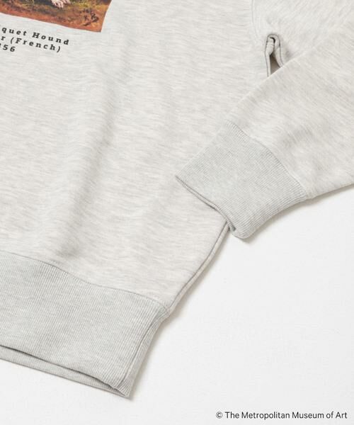 SENSE OF PLACE by URBAN RESEARCH / センスオブプレイス バイ アーバンリサーチ スウェット | 『別注』The Met×SENSE OF PLACE スウェット | 詳細7