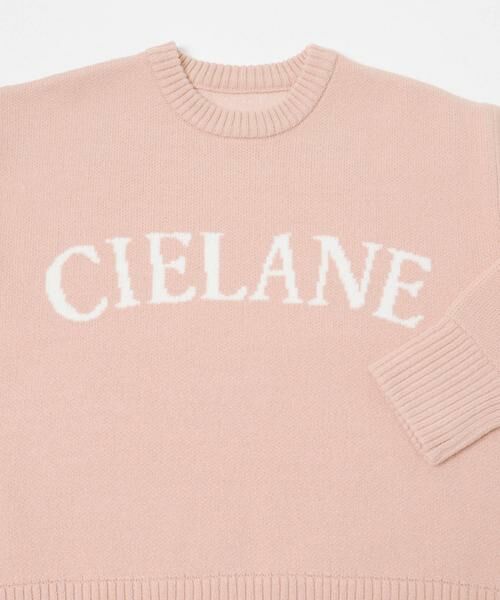 SENSE OF PLACE by URBAN RESEARCH / センスオブプレイス バイ アーバンリサーチ ニット・セーター | 『洗濯可』ジャガードロゴニット | 詳細17