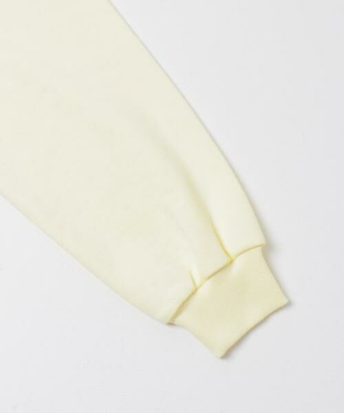 SENSE OF PLACE by URBAN RESEARCH / センスオブプレイス バイ アーバンリサーチ スウェット | 『洗濯可/撥水/防花粉』SKINProofハーフジップスウェット | 詳細15